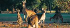 Margaret River