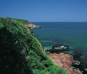 Merimbula Saphhire Coast