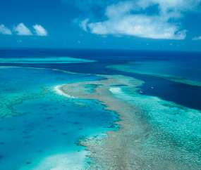 Whitsunday Reef