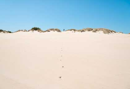 Australie - Tasmanie - Henty Dunes