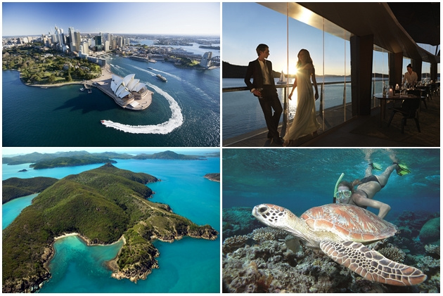 5 demandes en mariage en Australie